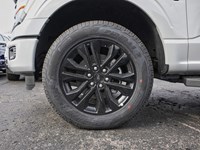2026 Ford F-150 XLT | 4X4 | 3.5L | 303A |Blk Pk Pls| Roof| Bed Utl