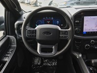 2026 Ford F-150 XLT | 4X4 | 5.0L | 303A | 157 | Blk Pk Pls | Roof