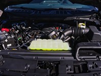 2026 Ford F-150 XLT | 4X4 | 5.0L | 302A | Blk Pk Pls | Bed Utl