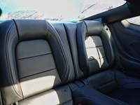 2026 Ford Mustang GT Premium | 5.0L | 401A | Nite Pony |Actv EX |B&O