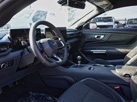 2026 Ford Mustang GT | 5.0L | 301A | Nite Pony | Actv Exhaust | 19S