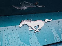 2026 Ford Mustang Ecoboost | 2.3L | 101A | 10-Spd Auto | Prem 19S