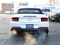 2026 Ford Mustang Ecoboost Premium Convertible | 2.3L | Prem 19S