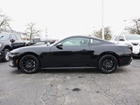 2026 Ford Mustang Ecoboost | 2.3L | 100A | Auto | Nite Pony Pkg
