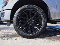 2025 Ford F-150 XLT | 4X4 | 2.7L | 302A | BLACK PK PLUS |360 | 20s