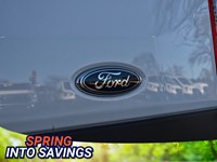 2025 Ford Transit-250 Cargo T-250 130