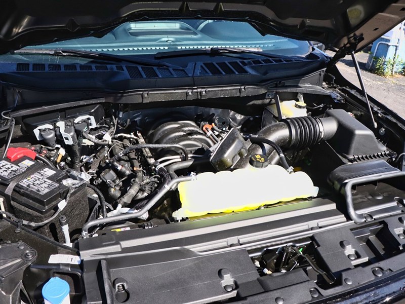 2025 Ford F-150 XLT | 4x4 | 5.0L | 303A | BLK PK PLS | ROOF | FX4