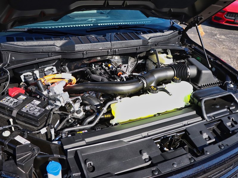 2025 FORD F-150 XLT | 4X4 | HYBRID | 302A | BLK PK PLS |7.2KW |T/H