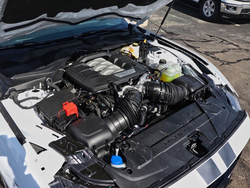 2025 Ford Mustang GT | 5.0L | 301A | ACTV VALVE | 3.55 LMT SLIP| 19s