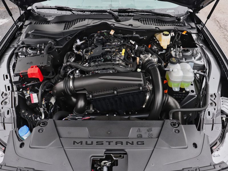 2025 Ford Mustang EcoBoost Fastback | 2.3L | 101A | 10-SPD AUTO