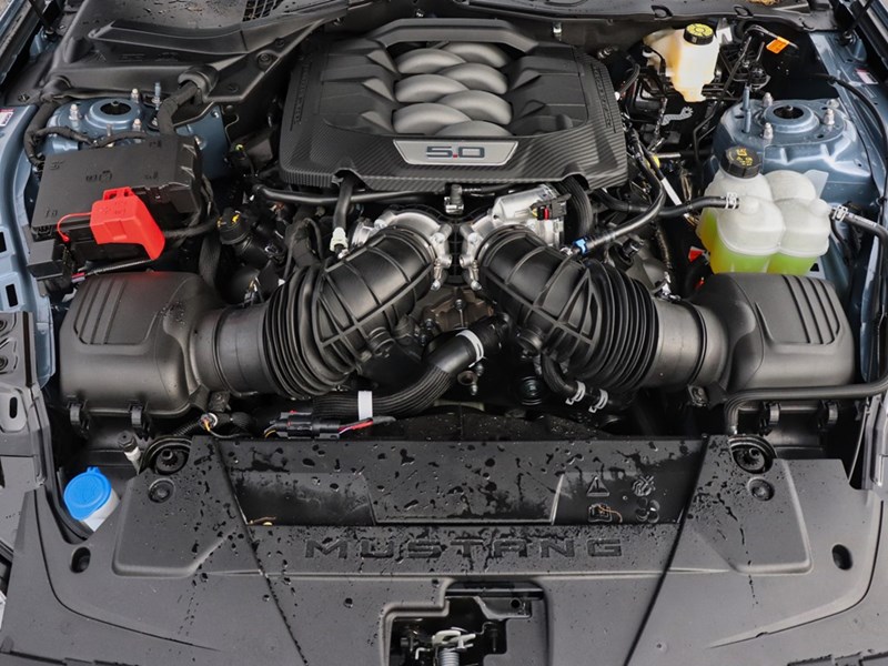 2025 Ford Mustang GT Premium | 5.0L |401A |NITE PONY |ACTV EXH | B&O