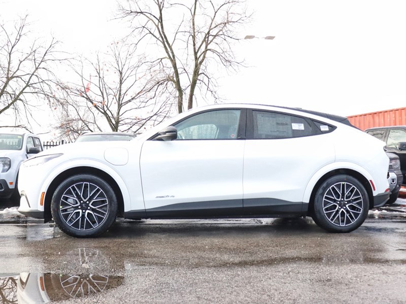 2025 Ford Mustang Mach-E Premium | AWD | EXT BAT | 360 | INT PROT | NACS