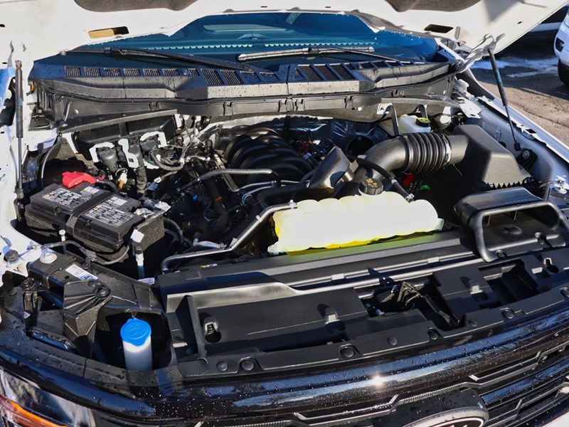 2026 Ford F-150 XLT | 4X4 | 5.0L | 302A | BLK PK PLS | BED UTL