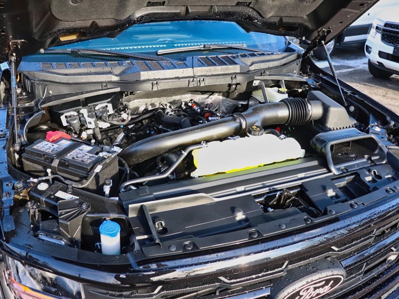 2026 Ford F-150 XLT | 4X4 | 3.5L | 302A |BLK PK |TOW/HAUL |BED UTL