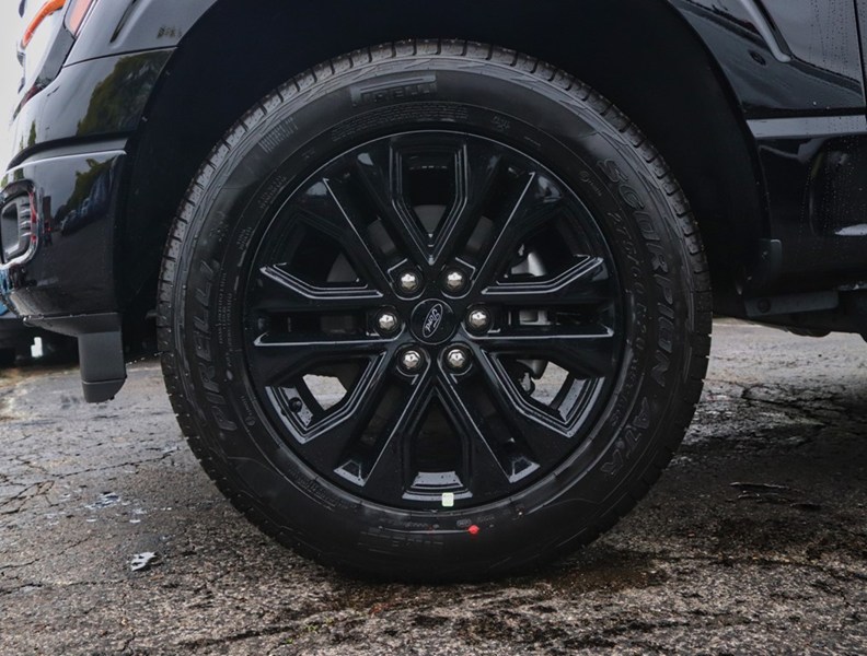 2026 Ford F-150 XLT | 4X4 | 3.5L | 302A | 157 |Blk Pk Pls |Bed Utl