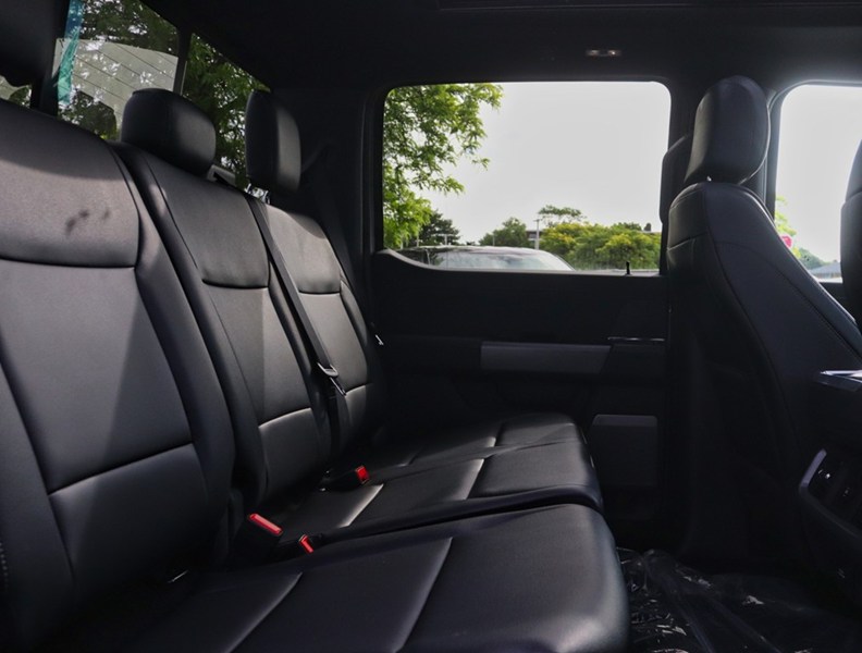 2026 Ford F-150 XLT | 4X4 | 5.0L | 303A | 157 | Blk Pk Pls | Roof