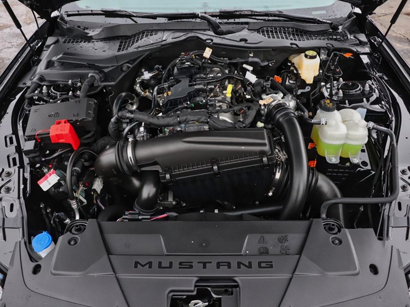 2026 Ford Mustang EcoBoost | 10-SPD AUTO | NITE PONY PKG | 19s