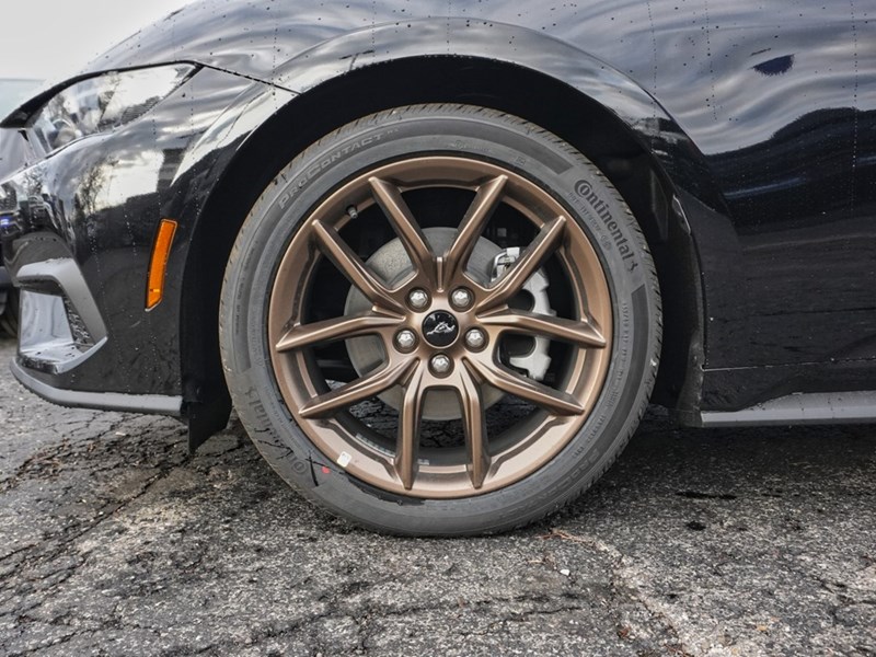 2026 Ford Mustang Ecoboost | 2.3L | 100A | Auto | Bronze Pkg