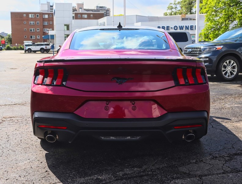 2026 Ford Mustang Ecoboost Premium | 2.3L | 200A | Nite Pony Pkg