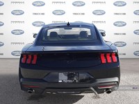 2025 FORD MUSTANG ECOBOOST FASTBACK