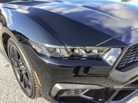 2025 FORD MUSTANG ECOBOOST FASTBACK