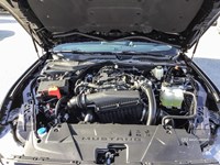 2025 FORD MUSTANG ECOBOOST FASTBACK