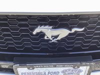 2025 FORD MUSTANG GT PREMIUM CONVERTIBLE