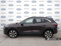 2023 FORD ESCAPE PLATINUM AWD