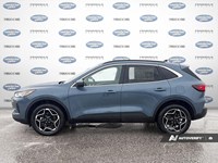 2026 FORD ESCAPE PLATINUM AWD