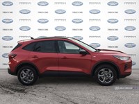 2025 FORD ESCAPE ST-LINE AWD