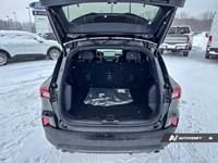 2026 Ford Escape ST-Line AWD