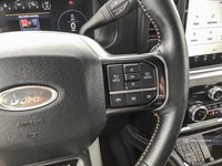 2023 FORD F-250 PLATINUM 4WD CREW CAB 6.75' BOX