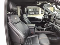 2023 FORD F-250 PLATINUM 4WD CREW CAB 6.75' BOX