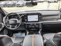 2023 FORD F-250 PLATINUM 4WD CREW CAB 6.75' BOX