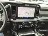 2025 FORD F-250 PLATINUM 4WD CREW CAB 8' BOX