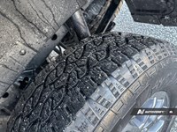 2025 Ford Ranger XLT 4WD SuperCrew 5' Box