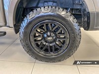 2025 Ford Ranger XLT 4WD SuperCrew 5' Box