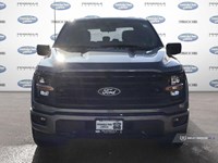 2025 FORD F-150 XLT 4WD SUPERCREW 5.5' BOX