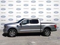 2023 FORD F-150 PLATINUM 4WD SUPERCREW 5.5' BOX