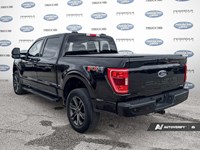 2022 Ford F-150 XL 4WD Supercrew 5.5' Box