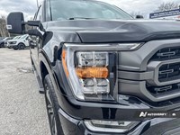 2022 Ford F-150 XL 4WD Supercrew 5.5' Box