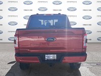 2023 Ford F-150 LARIAT 4WD SuperCrew 5.5' Box