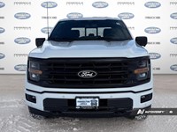 2025 Ford F-150 XLT 4WD SuperCrew 5.5' Box