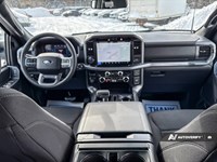 2025 Ford F-150 XLT 4WD SuperCrew 5.5' Box