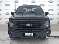 2026 Ford F-150 XLT 4WD SuperCrew 5.5' Box