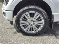 2025 FORD F-150 PLATINUM 4WD SUPERCREW 5.5' BOX