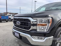 2022 FORD F-150 XLT 2WD REG CAB 6.5' BOX