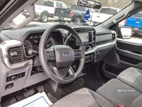 2022 FORD F-150 XLT 2WD REG CAB 6.5' BOX
