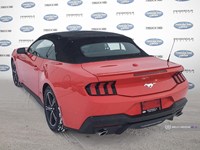 2024 FORD MUSTANG ECOBOOST PREMIUM CONVERTIBLE