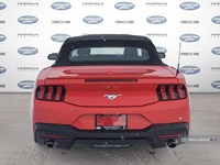 2024 FORD MUSTANG ECOBOOST PREMIUM CONVERTIBLE